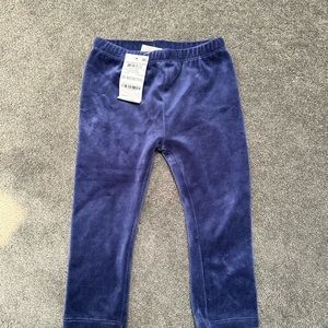 NWT First Impression blue velvet leggings. Size 24 months.